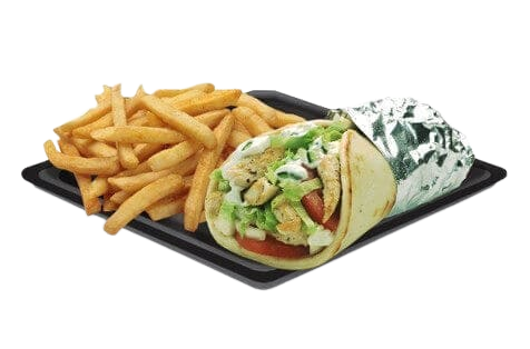 gyro-fries.png