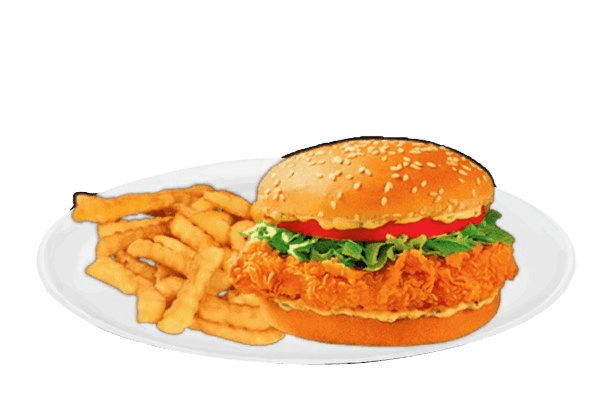Chicken Burger & Fries
