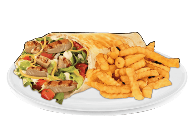 Chicken Gyro & Fries