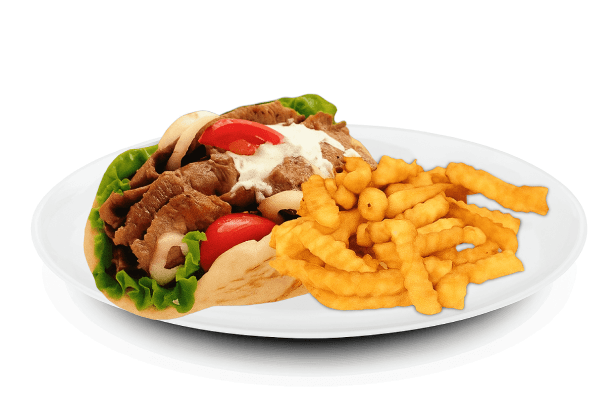 Gyro & Fries